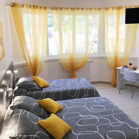 Le Solea 100m2 Climatise Parking Proche Sanctuaires * Λούρδη