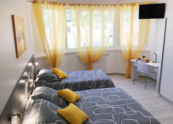 Le Solea 100m2 Climatisé Parking Proche Sanctuaires * Lourdes